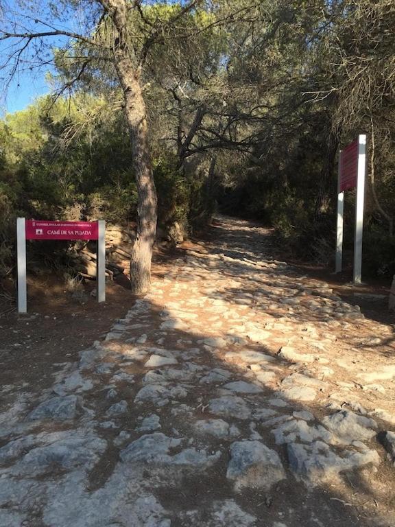 エス・プホルスLa Mundial Formenteraアパートメント エクステリア 写真